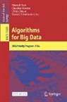 Hannah Bast, Claudius Korzen, Ulrich Meyer, Ulrich Meyer et al, Manuel Penschuck - Algorithms for Big Data