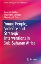 Oluwafemi Adeagbo, Xiaoming Li, Kammila Naidoo - Young People, Violence and Strategic Interventions in Sub-Saharan Africa
