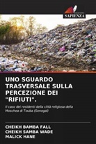 Cheikh Bamba Fall, Malick Hane, CHEIKH SAMBA WADE - UNO SGUARDO TRASVERSALE SULLA PERCEZIONE DEI "RIFIUTI".