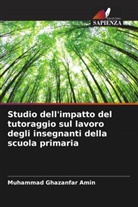 Muhammad Ghazanfar Amin - Studio dell'impatto del tutoraggio sul lavoro degli insegnanti della scuola primaria