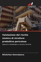 Nilufarhan Hamrabaeva - Valutazione del rischio sismico di strutture produttive pericolose