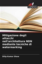 Dilip Kumar Shaw - Mitigazione degli attacchi nell'architettura NDN mediante tecniche di watermarking