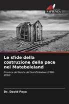 David Foya, DR. DAVID FOYA - Le sfide della costruzione della pace nel Matebeleland