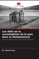 David Foya, DR. DAVID FOYA - Les défis de la consolidation de la paix dans le Matebeleland