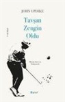 John Updike - Tavsan Zengin Oldu