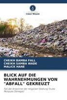Cheikh Bamba Fall, Malick Hane, CHEIKH SAMBA WADE - BLICK AUF DIE WAHRNEHMUNGEN VON "ABFALL" GEKREUZT