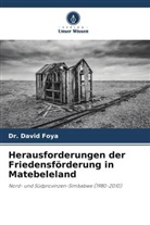 David Foya, DR DAVID FOYA, DR. DAVID FOYA - Herausforderungen der Friedensförderung in Matebeleland