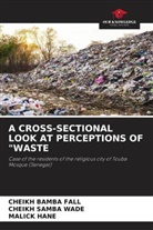 Cheikh Bamba Fall, Malick Hane, CHEIKH SAMBA WADE - A CROSS-SECTIONAL LOOK AT PERCEPTIONS OF "WASTE