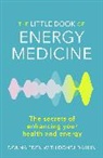 Dondi Dahlin, Donna Dahlin, Dahlin Dondi, Donna Eden, Eden Donna - The Little Book of Energy Medicine