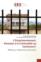 Ema Bernadette Noumedem Feulefack, Jouéfat Rayé Ngouloure - L'Emprisonnement, Panacée à la Criminalité au Cameroun?