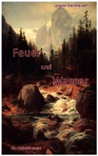 Johann Steinhauser, Johann Steinhauser - Feuer und Wasser