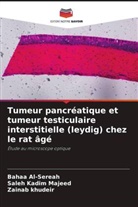 Bahaa Al-Sereah, Saleh Kadim Majeed, Zainab khudeir - Tumeur pancréatique et tumeur testiculaire interstitielle (leydig) chez le rat âgé