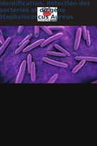 Ahmed Wahab Raisan - Identification, détection des bactéries et du gène Staphylococcus Aureus