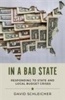 David Schleicher, David (Professor of Law Schleicher, Schleicher David - In a Bad State