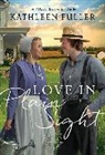 Kathleen Fuller - Love in Plain Sight