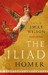 Homer, Homer Homer, Emily Wilson - The Iliad