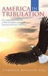 Cameron MacLeod, Cameron MacLeod Esq. - America in Tribulation