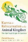 David Barreto - Karma and Reincarnation in the Animal Kingdom