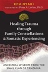 Efu Nyaki - Healing Trauma through Family Constellations and Somatic Experiencing