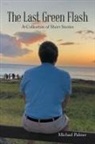 Michael Palmer - The Last Green Flash
