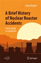 Serge Marguet - A Brief History of Nuclear Reactor Accidents