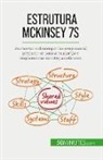 Anastasia Samygin-Cherkaoui - Estrutura McKinsey 7S