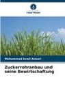 Mohammad Israil Ansari - Zuckerrohranbau und seine Bewirtschaftung
