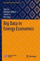Yanfei Li, Yanfei et al Li, Hui Liu, Nikolaos Nikitas, Rui Yang - Big Data in Energy Economics