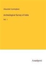 Alexander Cunningham - Archeological Survey of India