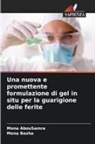 Mona AbouSamra, Mona Basha - Una nuova e promettente formulazione di gel in situ per la guarigione delle ferite