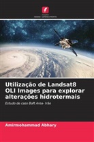 Amirmohammad Abhary - Utilização de Landsat8 OLI Images para explorar alterações hidrotermais