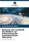 Amirmohammad Abhary - Nutzung von Landsat8 OLI-Bildern zur Erforschung der hydrothermalen Alteration