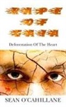 Sean O'Callihane - Rape of Gaia - Deforestation of the Heart