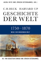 Sebastian Conrad, Akira Iriye, Jürgen Osterhammel - Geschichte der Welt - 4: Geschichte der Welt  Wege zur modernen Welt