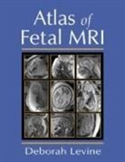 Deborah Levine, Deborah (Beth Israel Deaconess Medical Cen Levine, Levine Deborah - Atlas of Fetal Mri