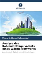 Umair Siddique Mohammed, Shudhakar Umale - Analyse des Kohlenstoffäquivalents eines Wärmekraftwerks