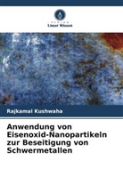 Rajkamal Kushwaha - Anwendung von Eisenoxid-Nanopartikeln zur Beseitigung von Schwermetallen