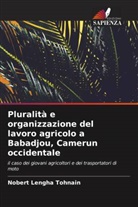 Nobert Lengha Tohnain - Pluralità e organizzazione del lavoro agricolo a Babadjou, Camerun occidentale