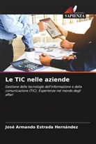 José Armando Estrada Hernández - Le TIC nelle aziende