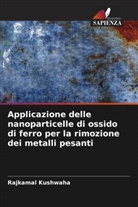 Rajkamal Kushwaha - Applicazione delle nanoparticelle di ossido di ferro per la rimozione dei metalli pesanti