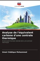 Umair Siddique Mohammed, Shudhakar Umale - Analyse de l'équivalent carbone d'une centrale thermique