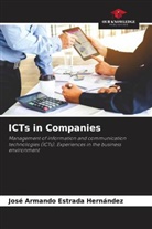 José Armando Estrada Hernández - ICTs in Companies