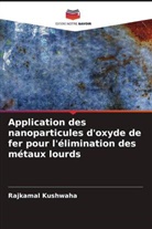 Rajkamal Kushwaha - Application des nanoparticules d'oxyde de fer pour l'élimination des métaux lourds