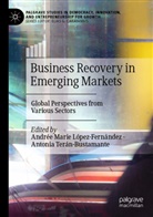 Andrée Marie López-Fernández, Andrée Marie López-Fernández, Terán-Bustamante, Antonia Terán-Bustamante - Business Recovery in Emerging Markets