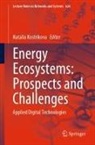 Natalia Kostrikova - Energy Ecosystems: Prospects and Challenges