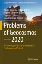 Nikita Bobrov, Evgeniy Gordeev, Evgeniy Gordeev et al, Andrei Kosterov, Evgeniy Kulakov, Evgeniya Lyskova... - Problems of Geocosmos-2020