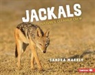 Sandra Markle - Jackals