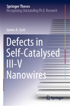 James A Gott, James A. Gott - Defects in Self-Catalysed III-V Nanowires