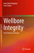 Arash Dahi Taleghani, Livio Santos - Wellbore Integrity
