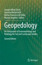 Marcos Angelini, Héctor Francisco Del Valle, H Francisco del Valle et al, Graciela Metternicht, Joseph Alfred Zinck - Geopedology